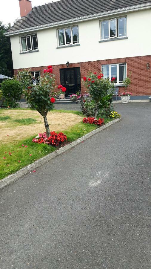 Scapaflow B&B O'Briensbridge Exteriör bild